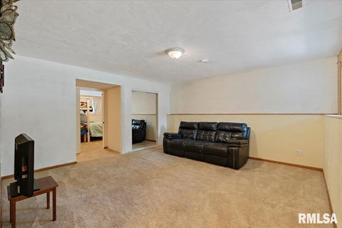 Tiny photo for 525 3RD Avenue, Hampton, IL 61256 (MLS # QC4268044)