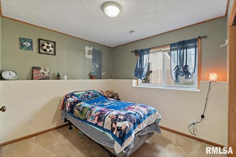 Tiny photo for 525 3RD Avenue, Hampton, IL 61256 (MLS # QC4268044)