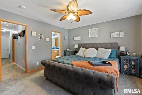 Tiny photo for 525 3RD Avenue, Hampton, IL 61256 (MLS # QC4268044)