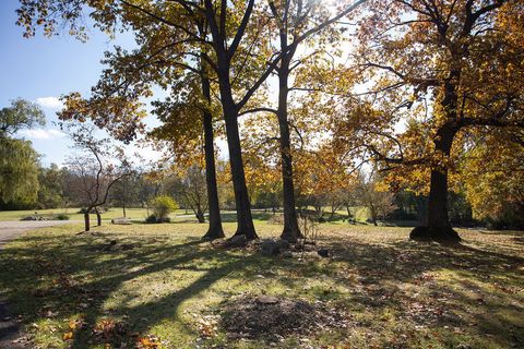 Tiny photo for 14930 W Wadsworth Road, Wadsworth, IL 60083 (MLS # 12505165)