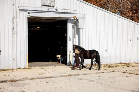 Tiny photo for 14930 W Wadsworth Road, Wadsworth, IL 60083 (MLS # 12505165)