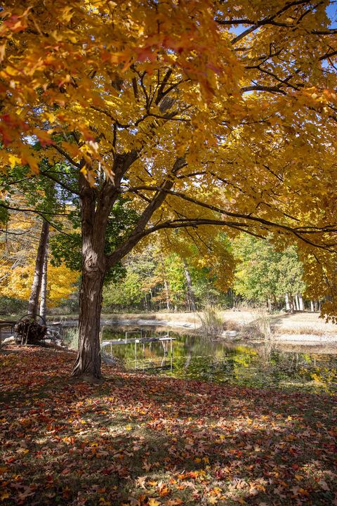 Tiny photo for 14930 W Wadsworth Road, Wadsworth, IL 60083 (MLS # 12505165)