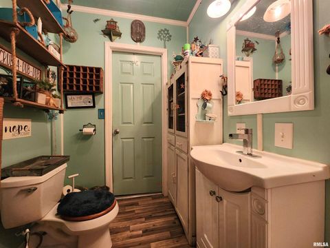 Tiny photo for 413 N 8TH Street, Herrin, IL 62948 (MLS # EB459670)