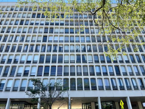 1401 E 55th Street 714 Chicago IL 60615