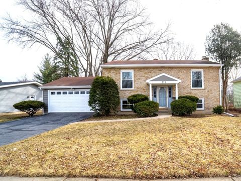 Photo of 719 Webster Street, Algonquin, IL 60102 (MLS # 12585050)
