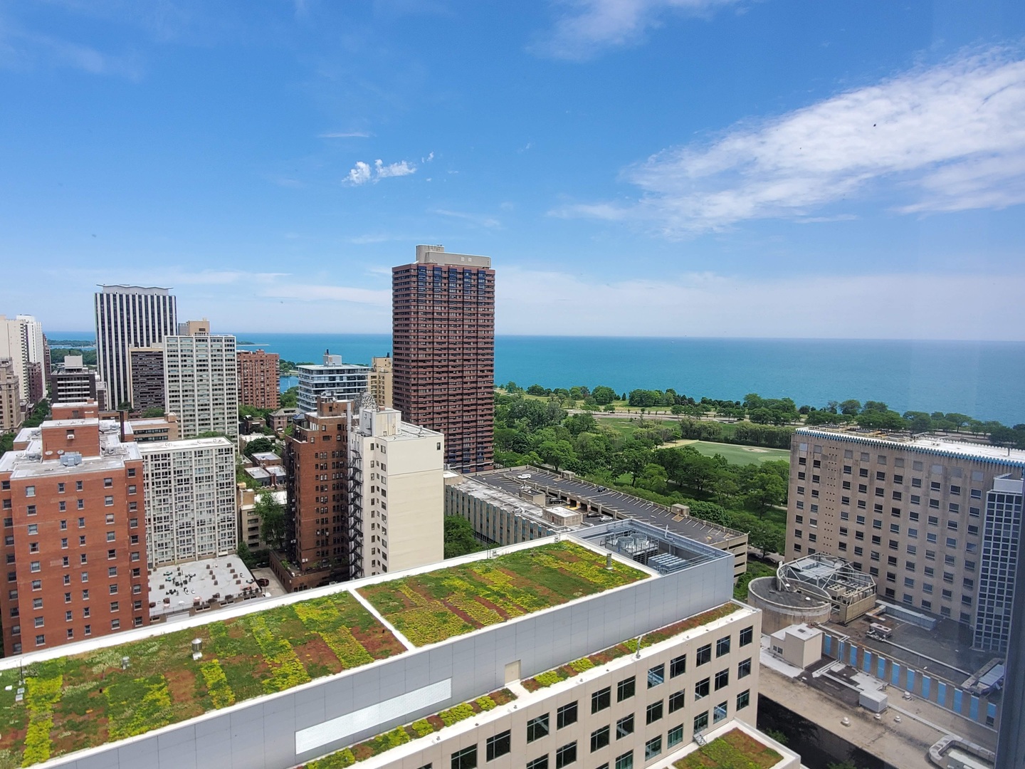 340 W Diversey Parkway 2718