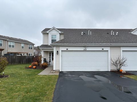 Photo of 163 Maryland Lane, Pingree Grove, IL 60140 (MLS # 12524507)