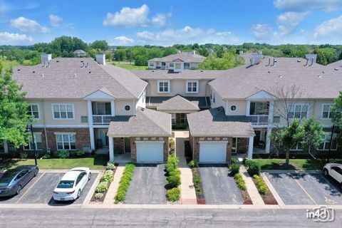 614 Pineridge Drive N 614 Oswego IL 60543