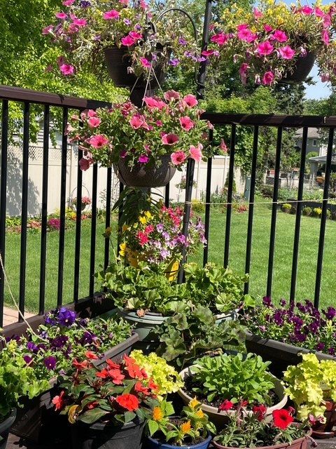 Tiny photo for 1770 W Windmill Court, Addison, IL 60101 (MLS # 12548975)