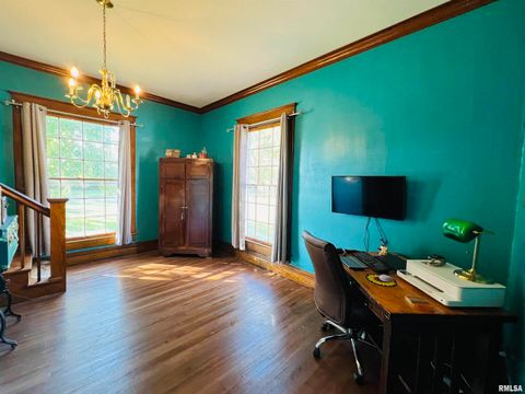 Tiny photo for 734 S MCKINLEY Street, Harrisburg, IL 62946 (MLS # EB460414)