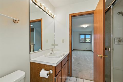 Tiny photo for 18310 Pine Wood Court, Tinley Park, IL 60477 (MLS # 12462956)