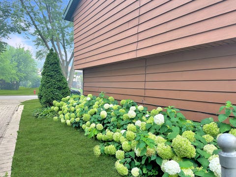 Tiny photo for 2402 Birch Lane, Rolling Meadows, IL 60008 (MLS # 12710411)