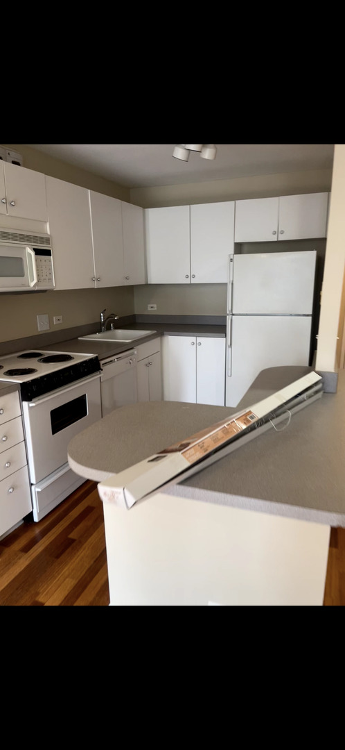 405 N Wabash Avenue 308