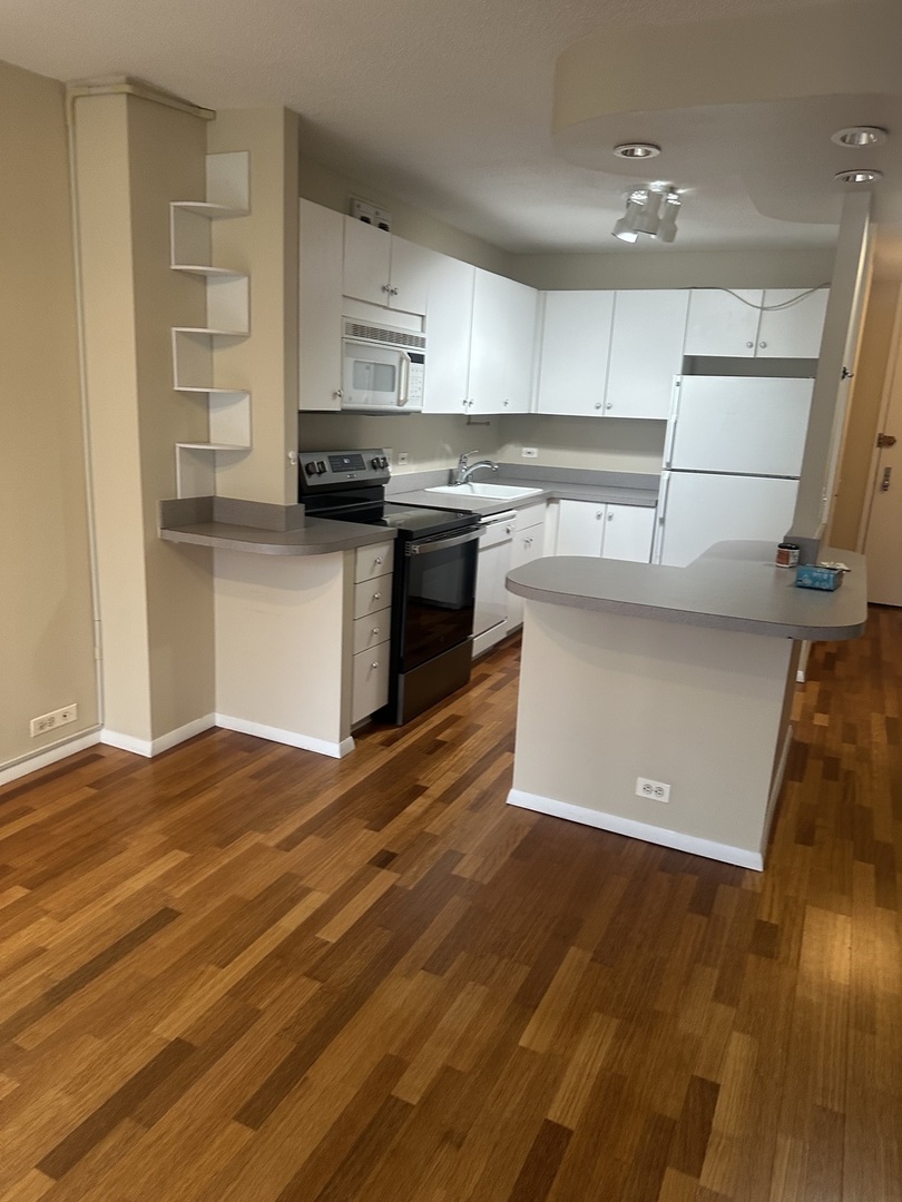 405 N Wabash Avenue 308