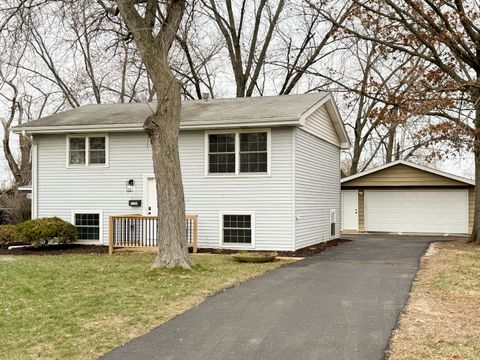 A home in Richton Park