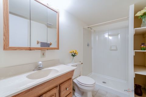 Tiny photo for 620 W Peregrine Drive, Palatine, IL 60067 (MLS # 12621204)
