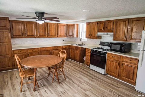 Tiny photo for 121 N BROAD Street, Loraine, IL 62349 (MLS # QC4265431)