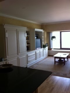 175 E Delaware Place 4807