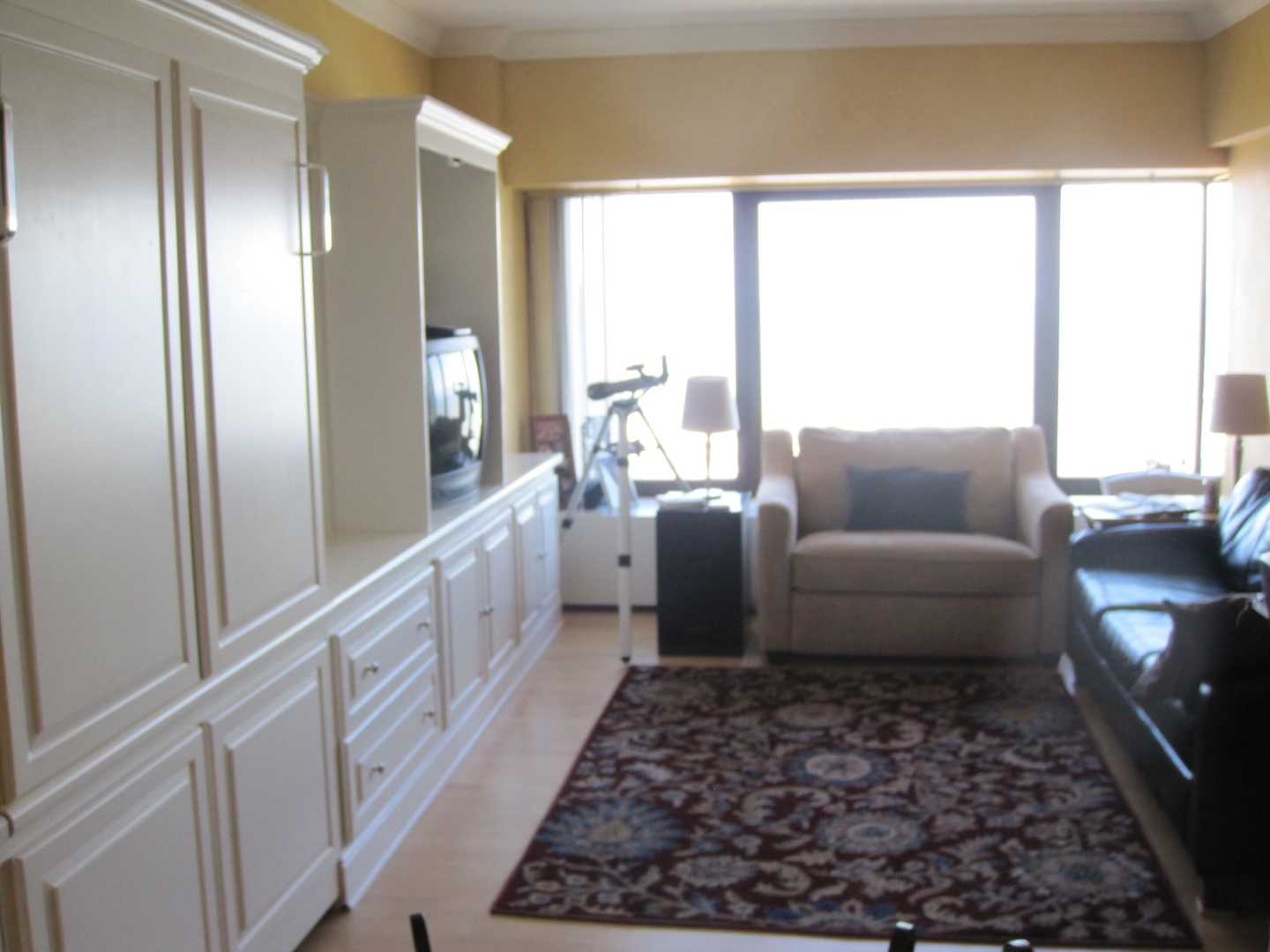 175 E Delaware Place 4807