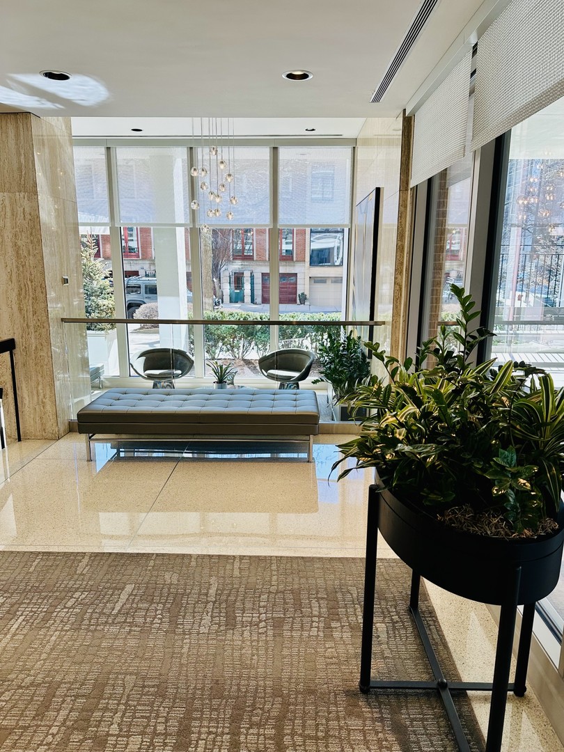 88 W Schiller Street 2301