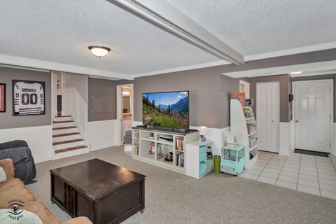 Tiny photo for 2414 Daniel Lewis Drive, New Lenox, IL 60451 (MLS # 12593529)