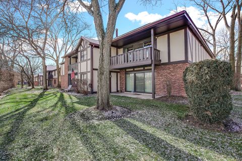 A home in Palos Hills