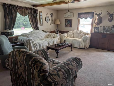 Tiny photo for 340 Dameron Lane, Vienna, IL 62995 (MLS # QC4265180)