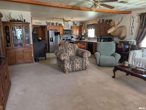 Tiny photo for 340 Dameron Lane, Vienna, IL 62995 (MLS # QC4265180)