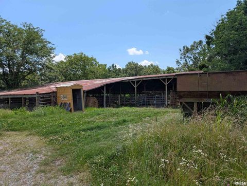 Tiny photo for 340 Dameron Lane, Vienna, IL 62995 (MLS # QC4265180)