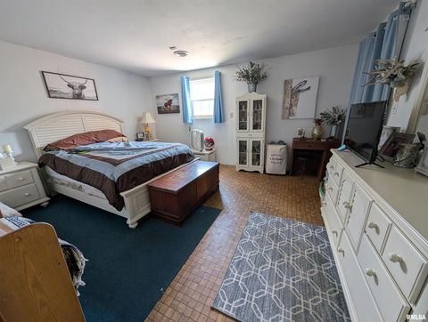 Tiny photo for 340 Dameron Lane, Vienna, IL 62995 (MLS # QC4265180)