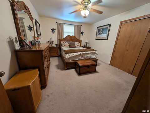 Tiny photo for 340 Dameron Lane, Vienna, IL 62995 (MLS # QC4265180)