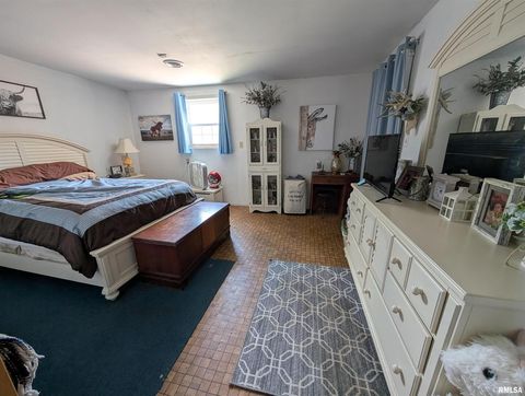 Tiny photo for 340 Dameron Lane, Vienna, IL 62995 (MLS # QC4265180)