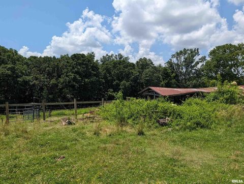 Tiny photo for 340 Dameron Lane, Vienna, IL 62995 (MLS # QC4265180)