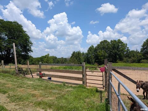 Tiny photo for 340 Dameron Lane, Vienna, IL 62995 (MLS # QC4265180)