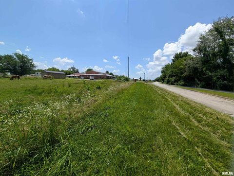 Tiny photo for 340 Dameron Lane, Vienna, IL 62995 (MLS # QC4265180)