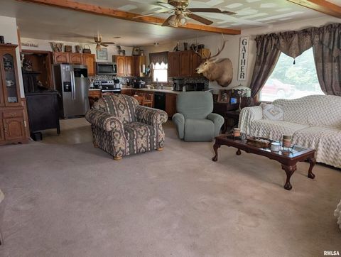 Tiny photo for 340 Dameron Lane, Vienna, IL 62995 (MLS # QC4265180)