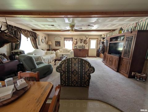 Tiny photo for 340 Dameron Lane, Vienna, IL 62995 (MLS # QC4265180)