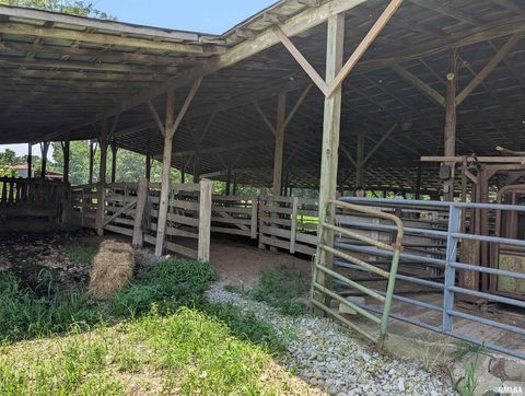 Tiny photo for 340 Dameron Lane, Vienna, IL 62995 (MLS # QC4265180)