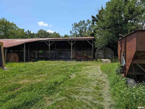 Tiny photo for 340 Dameron Lane, Vienna, IL 62995 (MLS # QC4265180)