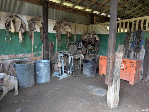 Tiny photo for 340 Dameron Lane, Vienna, IL 62995 (MLS # QC4265180)