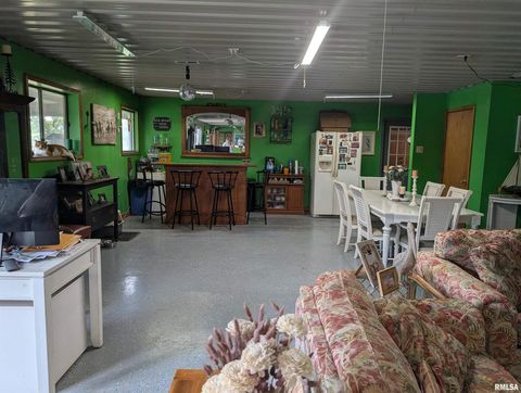 Tiny photo for 340 Dameron Lane, Vienna, IL 62995 (MLS # QC4265180)