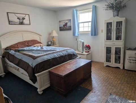 Tiny photo for 340 Dameron Lane, Vienna, IL 62995 (MLS # QC4265180)