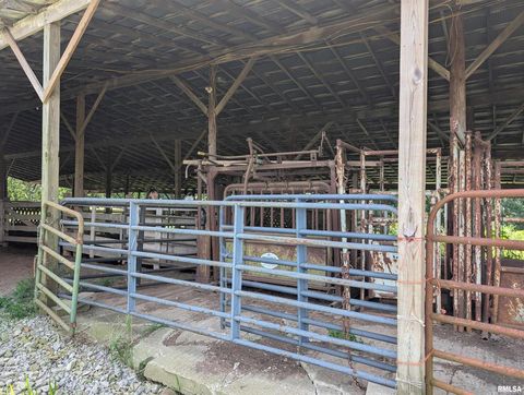 Tiny photo for 340 Dameron Lane, Vienna, IL 62995 (MLS # QC4265180)