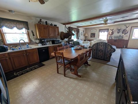 Tiny photo for 340 Dameron Lane, Vienna, IL 62995 (MLS # QC4265180)