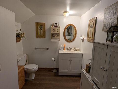 Tiny photo for 340 Dameron Lane, Vienna, IL 62995 (MLS # QC4265180)