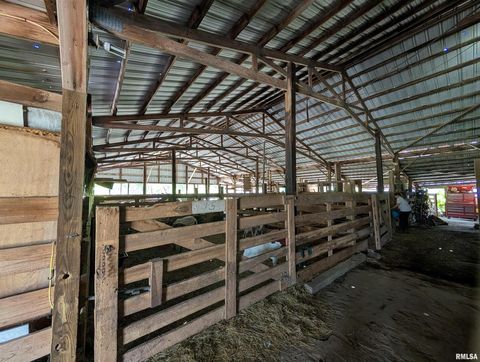 Tiny photo for 340 Dameron Lane, Vienna, IL 62995 (MLS # QC4265180)