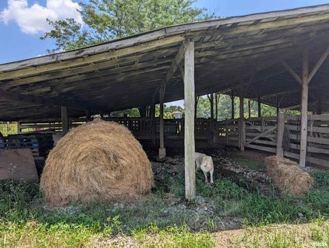 Tiny photo for 340 Dameron Lane, Vienna, IL 62995 (MLS # QC4265180)