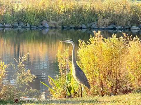 Tiny photo for 580 Oak Street, Glen Ellyn, IL 60137 (MLS # 12418941)