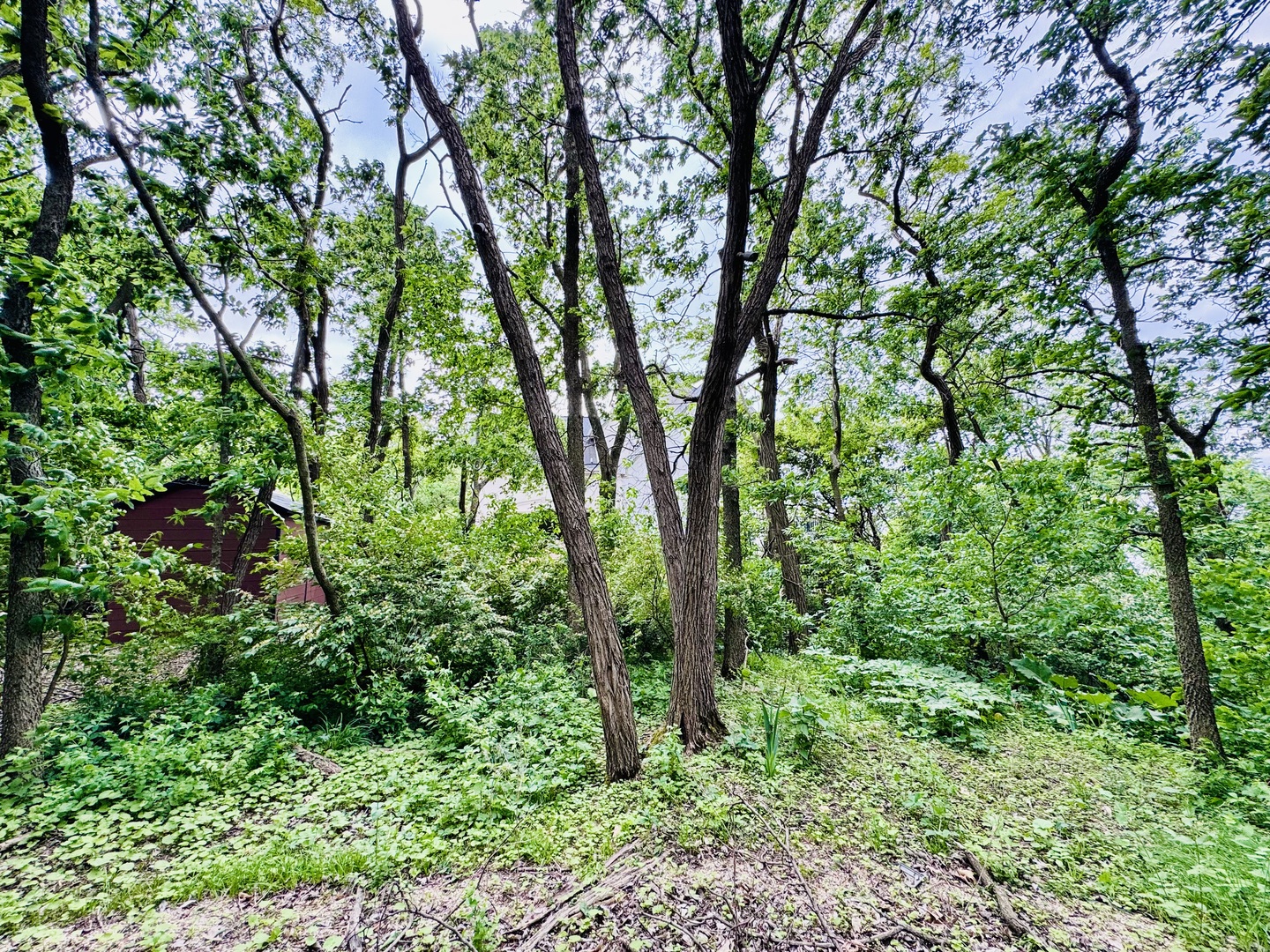 26628 S Kimberly Lane