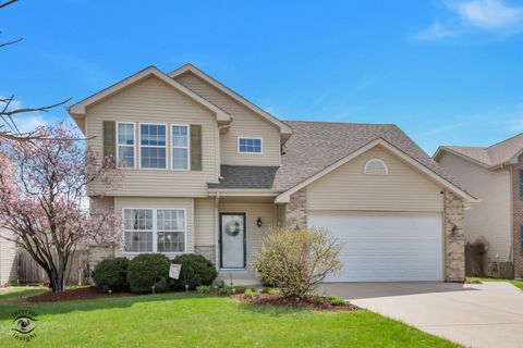 Tiny photo for 1066 N 129th Infantry Drive, Joliet, IL 60435 (MLS # 12612946)